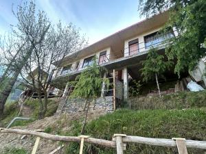 The Woodnest Tandi