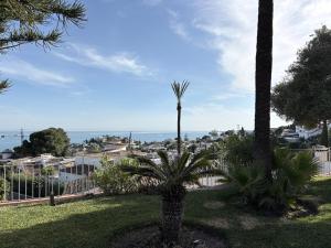 Mi Paraíso