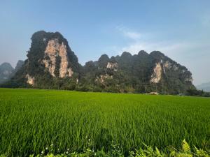 Homestay Hoàng Tuấn