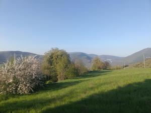 La villa di zio Pino