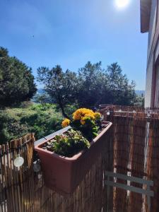 Sage Green House Roma Gemelli