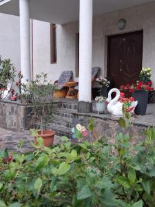 Vila Felicia