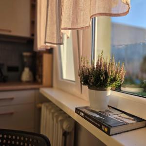 Morski Spokój Kołobrzeg mieszkanie 2 pokoje, kuchnia, balkon 48m2