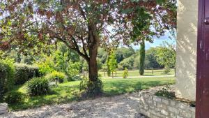 Charmant Gîte en pleine nature