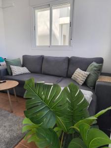 Beautiful Apartment with Sea View in Mojacar