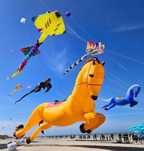 LAltéia - Lappartement les pieds dans leau avec place de parking et accès direct plage