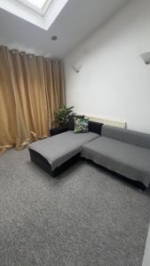 King Room sheared house