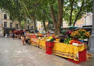 Aix-en-Provence : appartement de charme centre ville