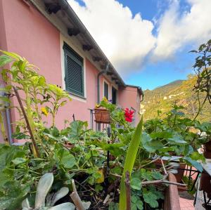 Una finestra sul mare