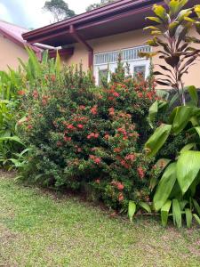Bungalow Olu