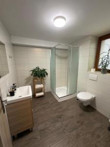 Apartmány Paseky - Jablonec nad Nisou