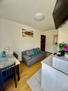 A&Y Studio Galeria Mokotow Pieńkowskiego C