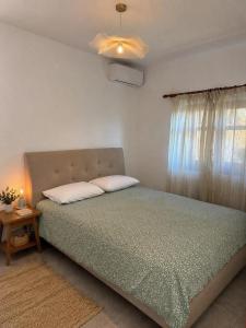 Papanestoras Apartments