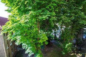 Modern & Sunny 2BR - Nivy Bus Station 2min - Fast Wifi - Balcony with view - Close to old town