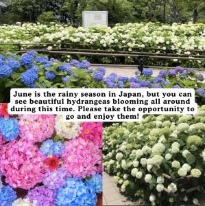 -HIgashinakano- 9-minute walk from Higashi-Nakano Station
