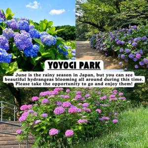 -Ueno house2F3F- 5-minute walk from Yoyogi-Uehara Station