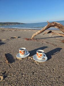 Riva Del Mare Apartment