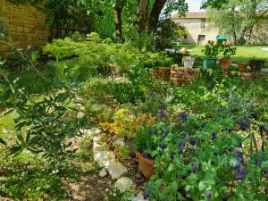 Maisonnette dans le marais poitevin