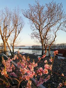 FEWO-Boddenblick-Vilm