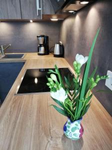 FEWO-Boddenblick-Vilm