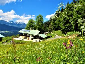 1 Bergpanorama und atemberaubende alpine Almlandschaft für absolute Nichtraucher