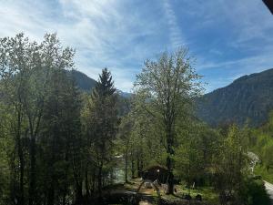 Haus am Wald -FeWo