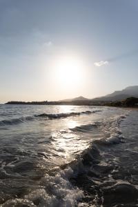 Longbeach Gardenhouse 5