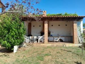 Mulberry Tree