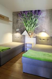 Bungalow w Ogrodzie Łeba - Jaskier