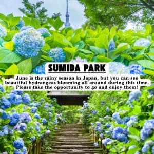 -Park Higashiueno- 4-minute walk from Ueno Station