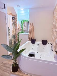 Suite jaccuzi privée Love-room-Méditerrannee