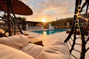 Ivory Luxury Apartments