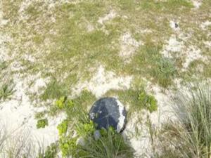 6 person holiday home in Blokhus-By Traum