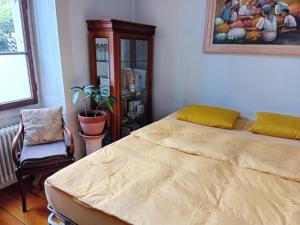 Spacious unique 150m2 apartment Geneva city center