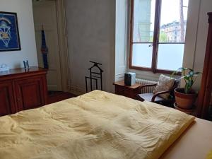 Spacious unique 150m2 apartment Geneva city center