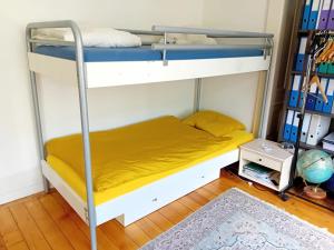 Spacious unique 150m2 apartment Geneva city center