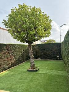 Maison bord de mer pour 2 à 6 pers