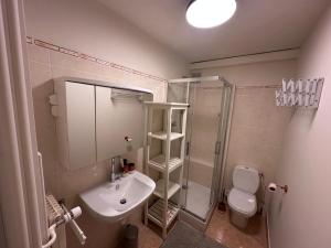 Appartement lumineux pour 4, accès pistes facile