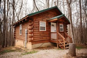 Jack Pine Hollow