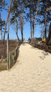 Baltic Sea Dora