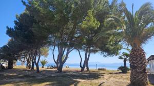 Lorixedda Rooms img75