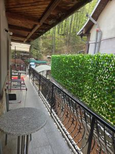 Vila Bradului