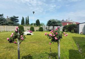 Agat Kołobrzeg - Niekanin