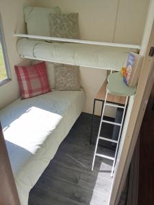 Le Bruant des Roseaux