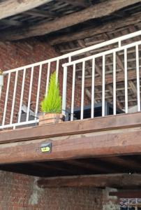 Villetta Garlasco Centro con Giardino