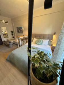 SKG Collection 2 Adjacent Studio for Groups