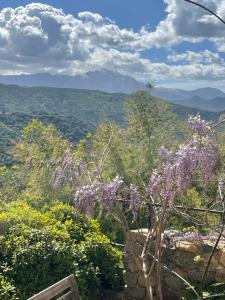 Maison de village en Balagne avec vue et extérieur
