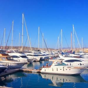 hedia a monastir