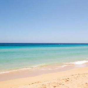 hedia a monastir