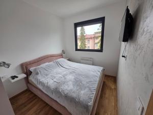 Ajsi apartman Zlatibor